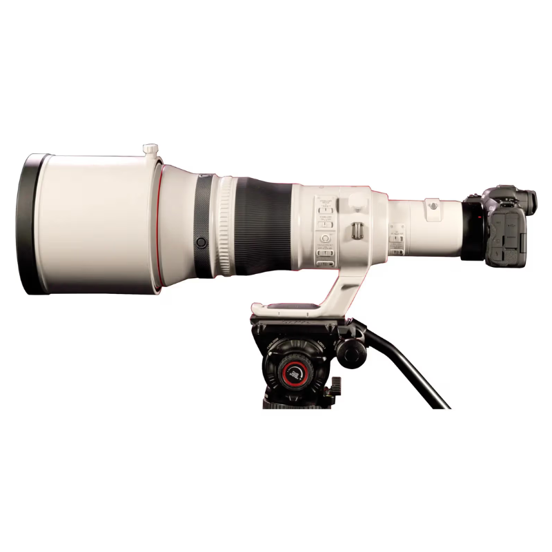 Canon RF 800mm f/5.6 L IS USM Lens
