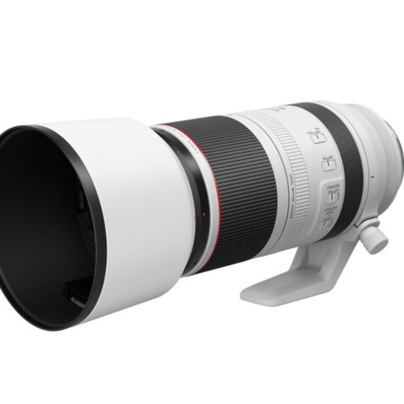 Canon RF 100-500mm f/4.5-7.1 L IS USM Lens